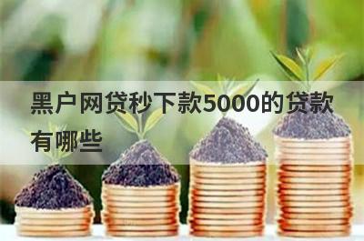 黑户网贷秒下款5000的贷款有哪些？2024年门槛低不看征信容易过的借款平台