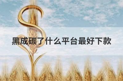 黑成碳了什么平台最好下款？黑成碳了2024不用审核就下款