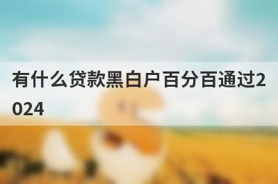 有什么贷款黑白户百分百通过2024？精选五个好下款的贷款