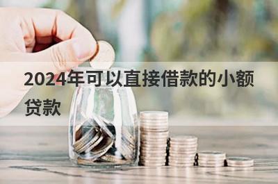 2024年可以直接借款的小额贷款（能下款的小额贷款软件）