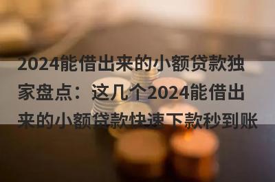 2024能借出来的小额贷款独家盘点：这几个2024能借出来的小额贷款快速下款秒到账！