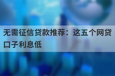 无需征信贷款推荐：这五个网贷口子利息低，秒下款！