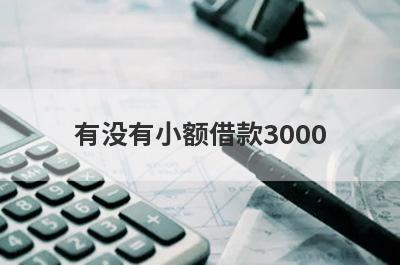 有没有小额借款3000？独家盘点2024年500元必下小额贷款