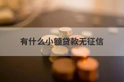 有什么小额贷款无征信？这些都比较不错，能借到钱秒到账