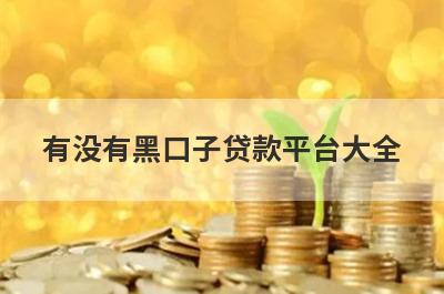 有没有黑口子贷款平台大全？独家盘点2024黑户500贷款秒下的新口子，轻松借款！