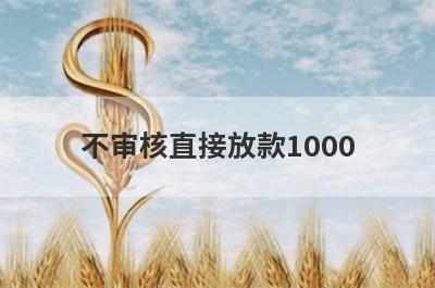 不审核直接放款1000 独家盘点黑户贷款2万秒到