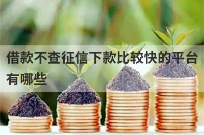 借款不查征信下款比较快的平台有哪些？这五个贷款，放款快速