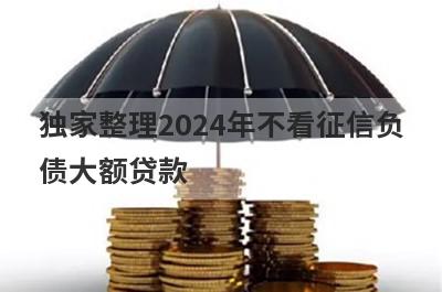 独家整理2024年不看征信负债大额贷款，借钱难试试这几个小额贷款口子！