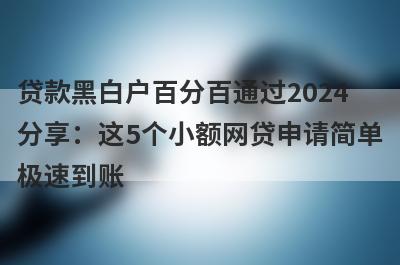 贷款黑白户百分百通过2024分享：这5个小额网贷申请简单极速到账！
