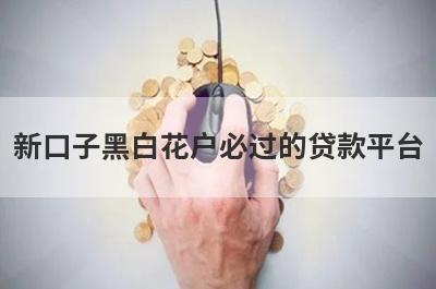 新口子黑白花户必过的贷款平台 综合评分不足想借20000100%能借到
