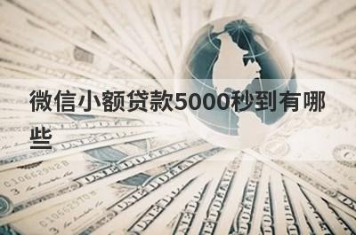 微信小额贷款5000秒到有哪些？独家盘点真实能借到钱的平台