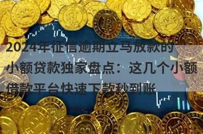 2024年征信逾期立马放款的小额贷款独家盘点：这几个小额借款平台快速下款秒到账！