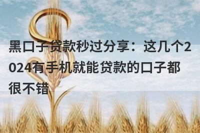 黑口子贷款秒过分享：这几个2024有手机就能贷款的口子都很不错！