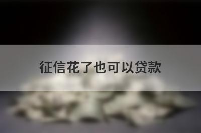 征信花了也可以贷款 黑户有逾期也能必过的口子
