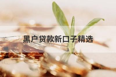 黑户贷款新口子精选 这些口子app非常容易下款