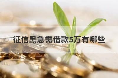 征信黑急需借款5万有哪些？急用钱试试这几个