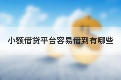 小额借贷平台容易借到有哪些？独家盘点审核易通过的小额贷款