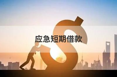 应急短期借款(网贷平台容易借钱)