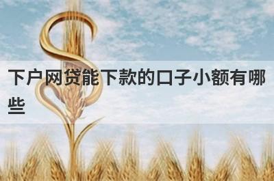 下户网贷能下款的口子小额有哪些？独家盘点千元贷款秒下的口子2024