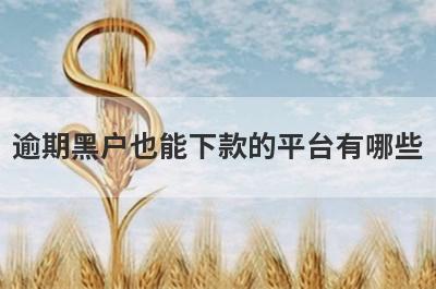 逾期黑户也能下款的平台有哪些？盘点5个逾期黑户可以借款的口子