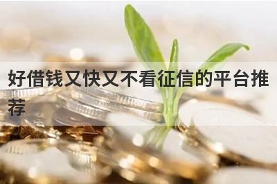 好借钱又快又不看征信的平台推荐，不知道好借钱又快又不看征信的平台有哪些的速来看！
