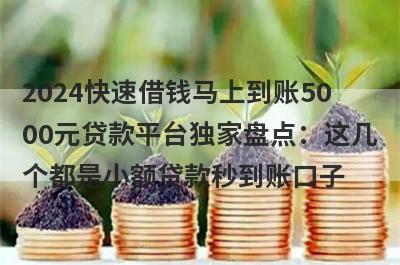 2024快速借钱马上到账5000元贷款平台独家盘点：这几个都是小额贷款秒到账口子