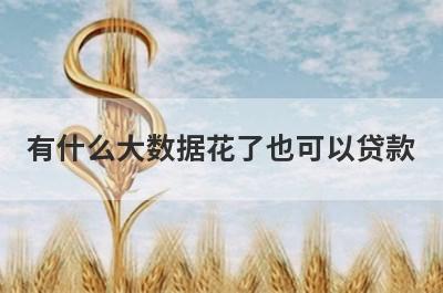 有什么大数据花了也可以贷款？这几个都可以了解