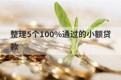 整理5个100%通过的小额贷款，需要的可以试试，申请简单下款快！