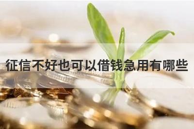 征信不好也可以借钱急用有哪些？整理5个借钱好通过的平台