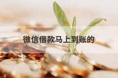 微信借款马上到账的 整理5个微信借款3000元