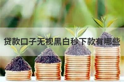 贷款口子无视黑白秒下款有哪些？盘点5个黑口子贷款秒过