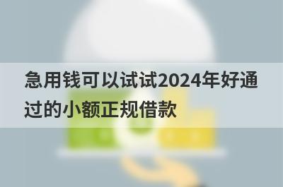 急用钱可以试试2024年好通过的小额正规借款，放款快速！