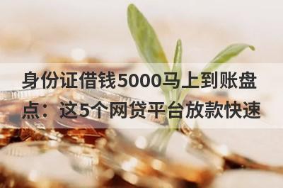 身份证借钱5000马上到账盘点：这5个网贷平台放款快速，可以迅速解决资金需求！