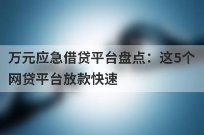 万元应急借贷平台盘点：这5个网贷平台放款快速，可以迅速解决资金需求！