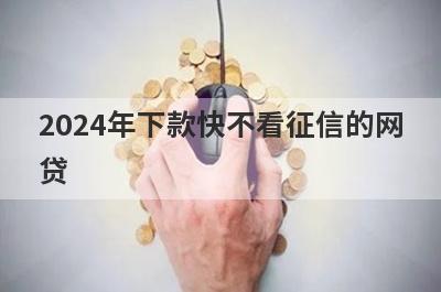 2024年下款快不看征信的网贷 网黑贷款1000马上到账