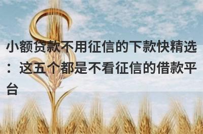 小额贷款不用征信的下款快精选：这五个都是不看征信的借款平台