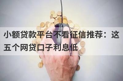 小额贷款平台不看征信推荐：这五个网贷口子利息低，秒下款！