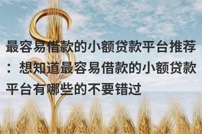 最容易借款的小额贷款平台推荐
：想知道最容易借款的小额贷款
平台有哪些的不要错过
