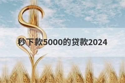 秒下款5000的贷款2024，黑户百分百不拒的小额贷款