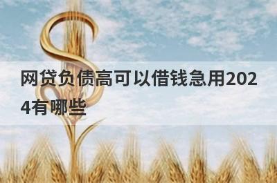 网贷负债高可以借钱急用2024有哪些？盘点5个小额贷款秒到账