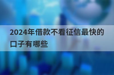 2024年借款不看征信最快的口子有哪些？这些平台可以试试，轻松借款