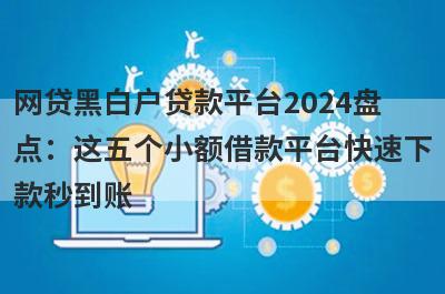 网贷黑白户贷款平台2024盘点：这五个小额借款平台快速下款秒到账！