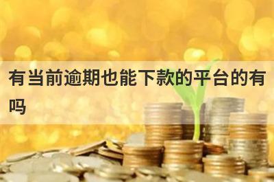 有当前逾期也能下款的平台的有
吗

