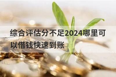 综合评估分不足2024哪里可
以借钱快速到账
