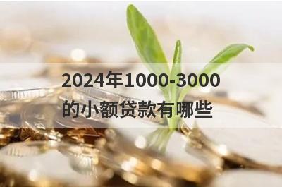 2024年1000-3000的小额贷款有哪些？推荐5个当前有逾期能下款的口子
